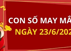 Con số may mắn theo 12 con giáp hôm nay 23/6/2024