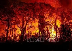 Brazil ban bố tình trạng khẩn cấp do cháy rừng