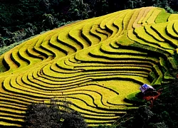 Cát Lình (Sơn La) - Bức tranh đa sắc của Chiềng Muôn