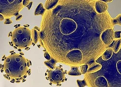 Italy lo ngại về các biến thể mới của virus SARS-CoV-2