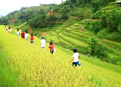 Kỳ vĩ ruộng bậc thang Hoàng Su Phì, Hà Giang