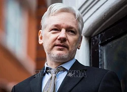 Nhà sáng lập WikiLeaks đồng ý nhận tội