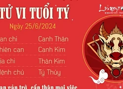 Tử vi hôm nay, thứ Ba 25/6/2024: Tỵ tài lộc dồi dào, Dần tiền bạc rủng rỉnh, Ngọ phú quý đủ đường