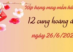 Xếp hạng may mắn của 12 con giáp ngày 26/6/2024: 5 con giáp có vận may kém