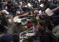 Xung đột Hamas - Israel: Trẻ suy dinh dưỡng gia tăng do nạn đói lan rộng