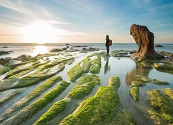 Bãi đá cổ ở "vương quốc" Thanh Long, Bình Thuận