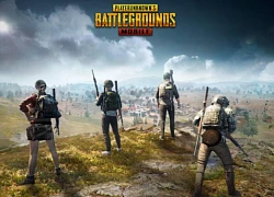 Lịch thi đấu PUBG Mobile World Cup 2024 mới nhất