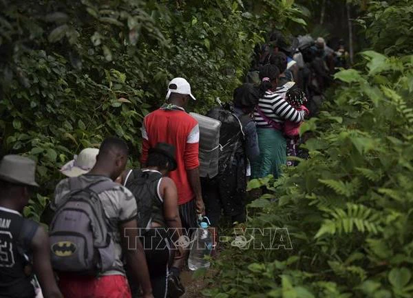 Tân Tổng thống Panama cam kết chấm dứt di cư trái phép qua rừng Darien Gap