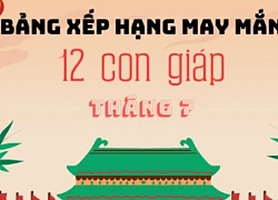 Xếp hạng may mắn của 12 con giáp ngày 4/7/2024: Tuổi Thân và Hợi có vận may tốt