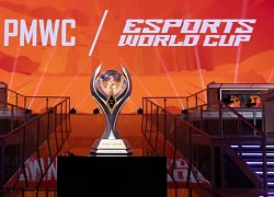 2024 PUBG Mobile World Cup: Đội tuyển Việt Nam bùng nổ với Top 1 vòng Main Tournament