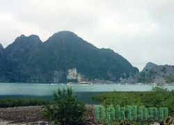 Đảo Trà Bản (Quảng Ninh)