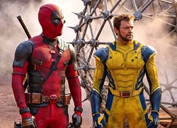 Deadpool & Wolverine' nhận điểm khán giả cao ngút ngàng trên Rotten Tomatoes