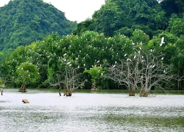 Đến Thung Nham, ngắm hang động kỳ bí, vườn chim lớn nhất miền Bắc