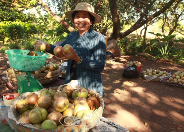 Độc đáo Cồn Sơn