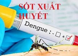 Hà Nội: Thêm 10 ổ dịch sốt xuất huyết trong một tuần