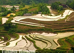 Hồng Thái vào vụ mới