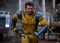 Hugh Jackman và hành trình 24 năm cùng Wolverine trên màn ảnh rộng