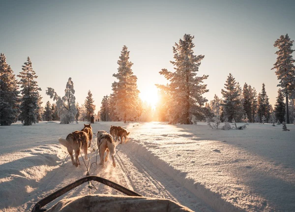 Rovaniemi Phần Lan - Xứ sở tuyết diệu kỳ giữa lòng Bắc Cực