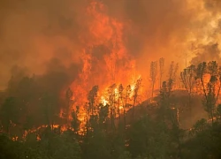 Trên 4.000 người phải sơ tán vì cháy rừng ở bang California