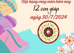 Xếp hạng may mắn của 12 con giáp ngày 30/7/2024: Con giáp tuổi Mùi và Dậu có vận may tốt