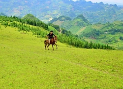 Bình yên thảo nguyên Cốc Sâm, Bắc Hà (Lào Cai)