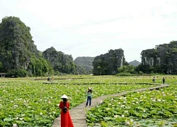 Hang Múa &#8211; Ninh Bình: địa điểm chụp ảnh, sống ảo yêu thích của giới trẻ