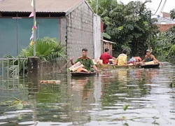 Hơn 7.400 nhân khẩu vùng úng ngập huyện Chương Mỹ cần cứu trợ