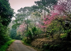 Khám phá nét đẹp Ba Vì, Hà Nội