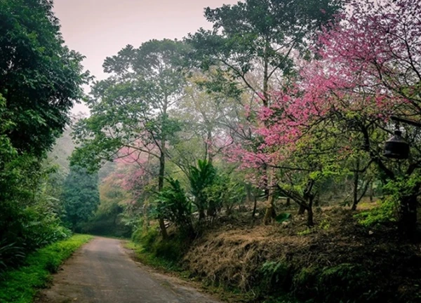 Khám phá nét đẹp Ba Vì, Hà Nội