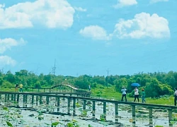 Long An: 'Check-in' rừng tràm với nét đẹp hoang sơ