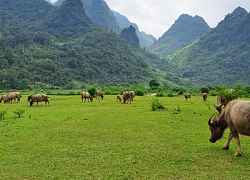 "Sống ảo" ở tiên cảnh Bãi tình