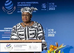 WTO nhận định giai đoạn khó khăn đối với thương mại toàn cầu