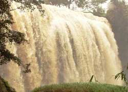 Du ngoạn thác Voi, Lâm Đồng