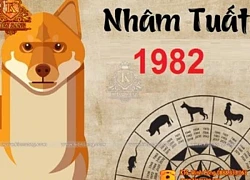 Hướng nhà tuổi Nhâm Tuất 1982