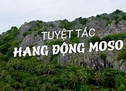 Moso - Kỳ thú đất Hà Tiên, Kiên Giang