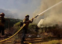 Mỹ: Trên 13.000 người ở Bắc California phải sơ tán vì cháy rừng