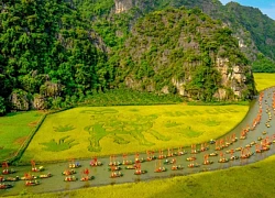 Tour trải nghiệm Ninh Bình được yêu thích hàng đầu thế giới