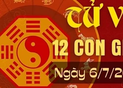 Tử vi 12 con giáp hôm nay ngày 6/7/2024: Sửu kì vọng, Thìn cân bằng