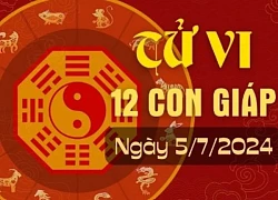 Tử vi 12 con giáp hôm nay ngày 5/7/2024: Tuất cố gắng, Mão ổn định