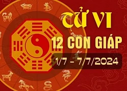 Tử vi ngày mới 12 con giáp ngày 7/7/2024: Mùi hạnh phúc giả tạo, Hợi mất cơ hội tốt.