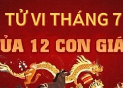 Tử vi ngày mới 12 con giáp thứ 7 ngày 6/7/2024: Sửu chịu áp lực, Tỵ phát triển.