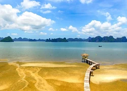 Bãi Dài (Quảng Ninh) - Điểm du lịch hấp dẫn