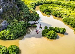 Chèo sup, ngắm hoàng hôn ở rừng ngập mặn Cát Bà