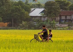 Du lịch Tây Bắc: Khám phá Mai Châu - viên ngọc xanh của Hòa Bình