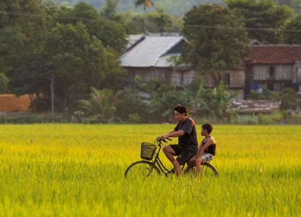 Du lịch Tây Bắc: Khám phá Mai Châu - viên ngọc xanh của Hòa Bình