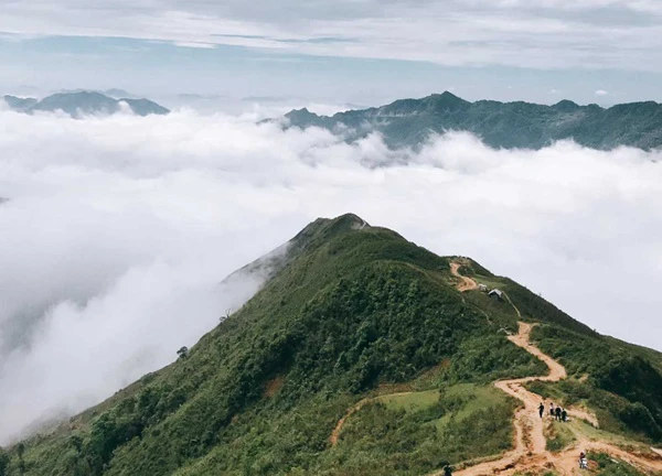 Du lịch Tây Bắc: Săn mây Tà Xùa du khách ngỡ lạc vào chốn thần tiên