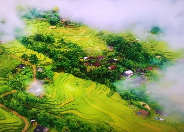 Phiêng Bung - Nà Hang (Tuyên Quang), nguyên sơ vùng rừng trên núi cao