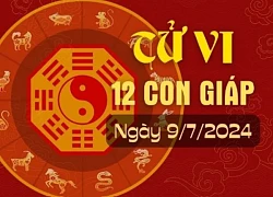 Tử vi hằng ngày - Xem tử vi vui 12 con giáp ngày 9.7.2024