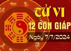 Tử vi hằng ngày - Xem tử vi vui 12 con giáp ngày 7.7.2024