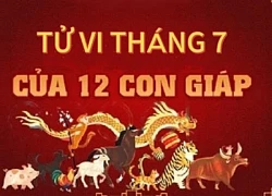 Tử vi tuần mới 12 con giáp từ 8/7 - 14/7/2024 đầy đủ nhất